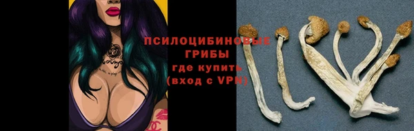 не бодяженный Магас