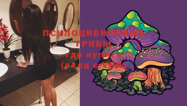 не бодяженный Магас