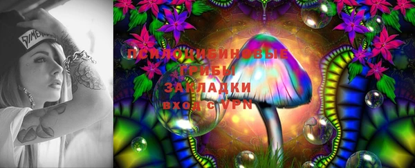 гидра Верхний Тагил