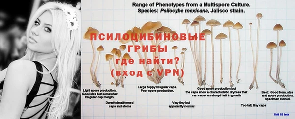 ГАЛЛЮЦИНОГЕННЫЕ ГРИБЫ Бронницы