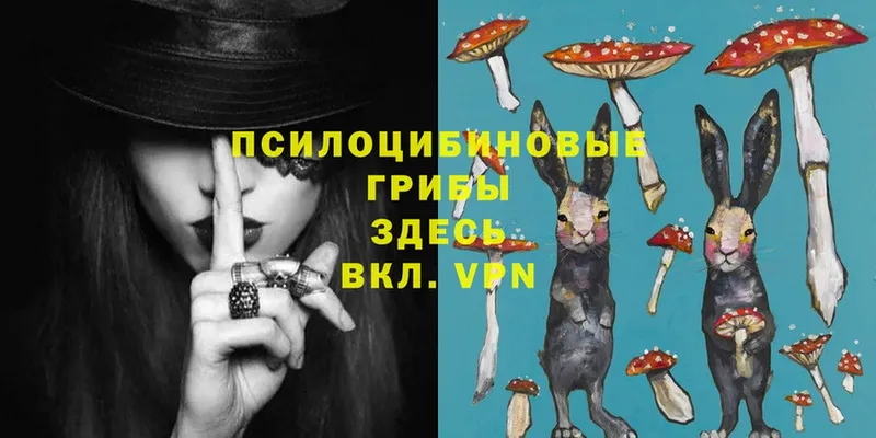 MEGA зеркало  как найти закладки  Геленджик  Псилоцибиновые грибы Magic Shrooms 