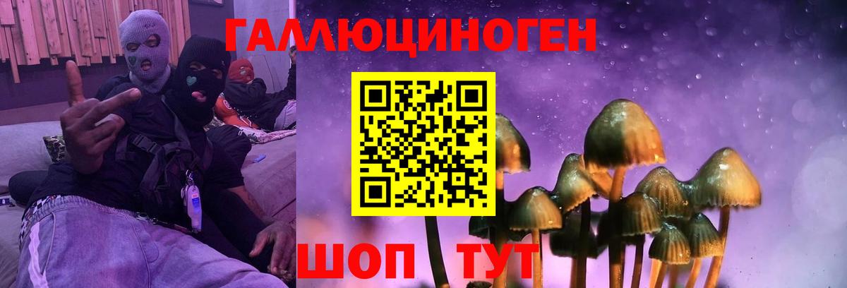 Галлюциногенные грибы MAGIC MUSHROOMS Геленджик